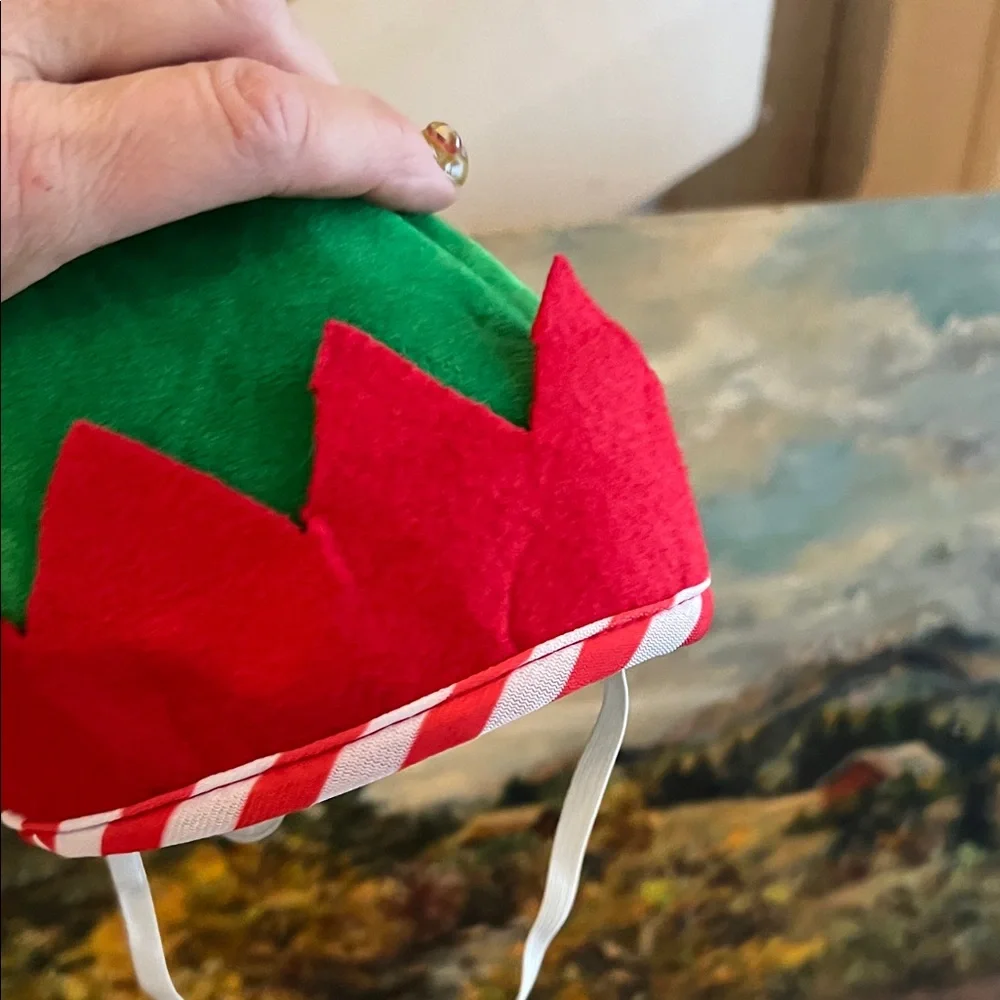 Festive Green, White and Red Pet Elf Hat / Cat